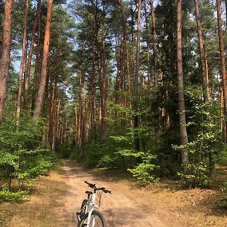 Campsite Dwa Jeziora Gostynin